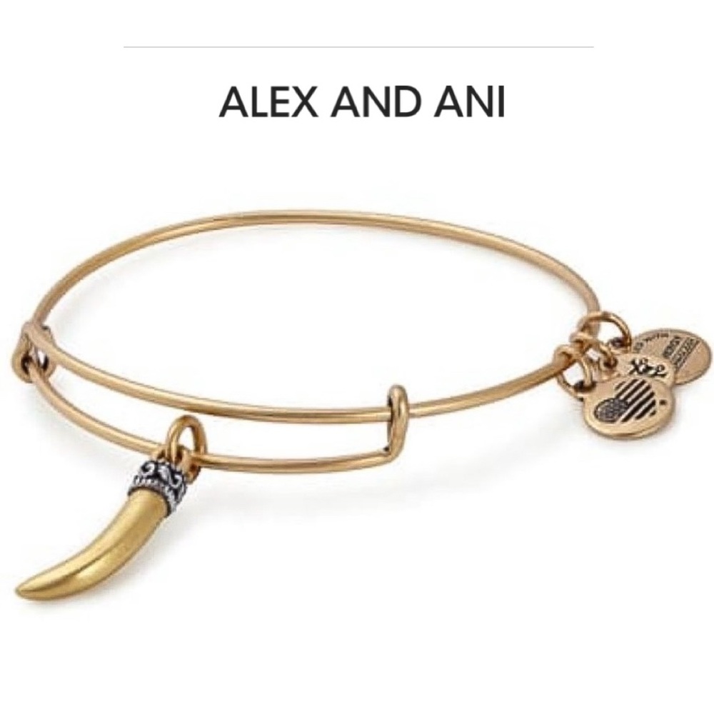 ALEX AND ANI Horn Charm Bangle